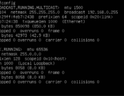 Como crear servidor web local en Ubuntu 20.04 10 comando ifconfig