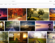 Busqueda de Imagenes